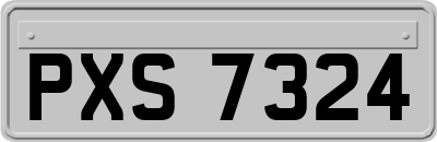 PXS7324