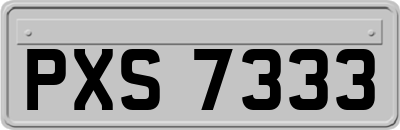 PXS7333