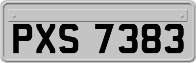 PXS7383