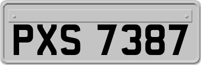 PXS7387