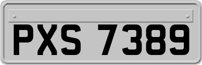 PXS7389