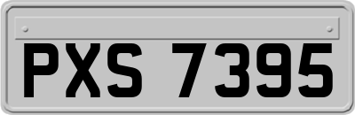 PXS7395