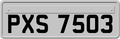 PXS7503