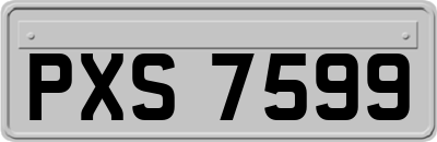 PXS7599