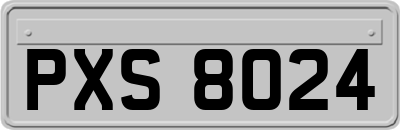 PXS8024