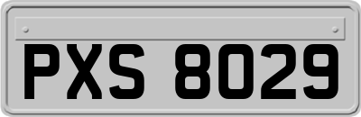 PXS8029