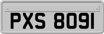 PXS8091