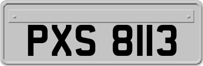 PXS8113