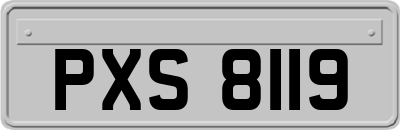 PXS8119