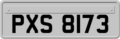 PXS8173