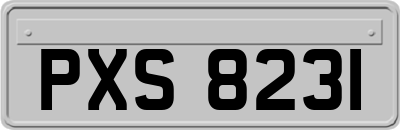 PXS8231