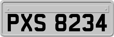 PXS8234