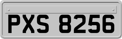 PXS8256