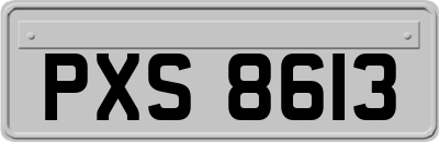 PXS8613