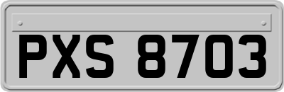 PXS8703