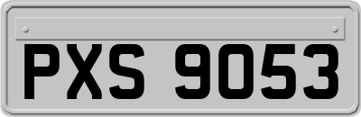 PXS9053