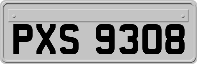 PXS9308