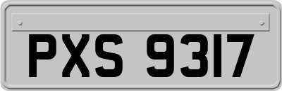 PXS9317