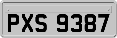 PXS9387