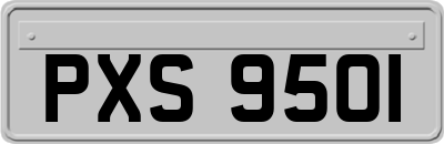 PXS9501