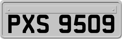 PXS9509