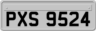 PXS9524