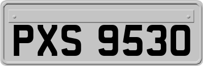 PXS9530