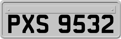 PXS9532