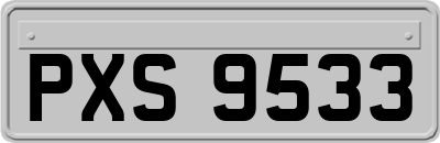 PXS9533