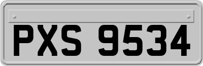 PXS9534