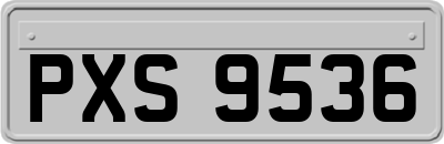 PXS9536