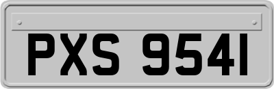 PXS9541