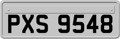 PXS9548