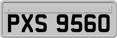 PXS9560