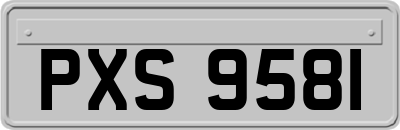 PXS9581