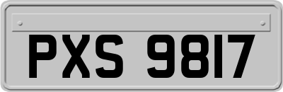 PXS9817