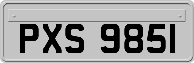 PXS9851