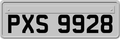 PXS9928