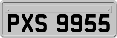 PXS9955