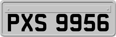 PXS9956