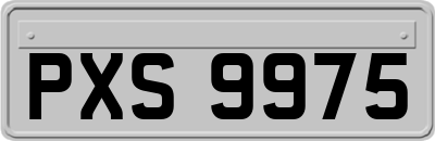 PXS9975