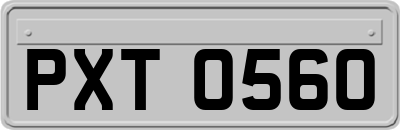 PXT0560