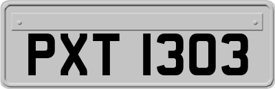 PXT1303