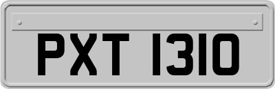 PXT1310