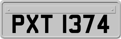 PXT1374