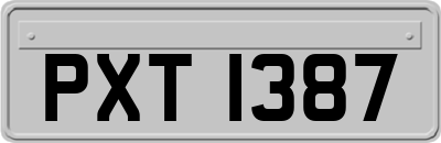 PXT1387