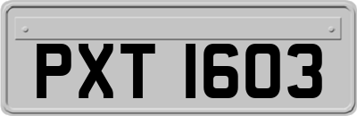 PXT1603