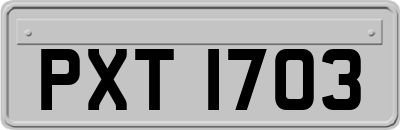 PXT1703