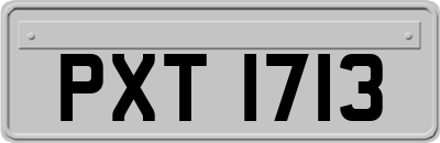 PXT1713