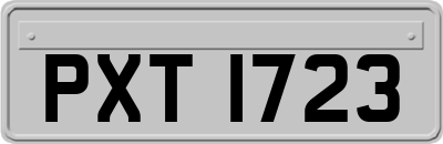 PXT1723